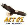 Αετός
